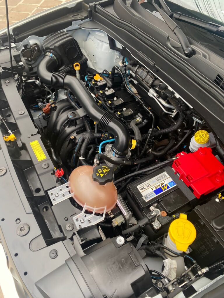 Lavagem detalhada do motor 2