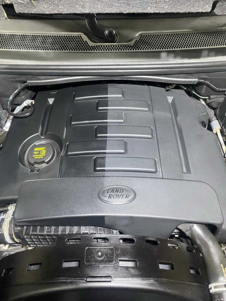 Lavagem detalhada do motor